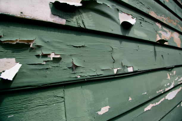 Best Recycling Services for Junk  in Chestnut Ridge, NY