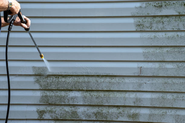 Best Construction Debris Removal  in Chestnut Ridge, NY